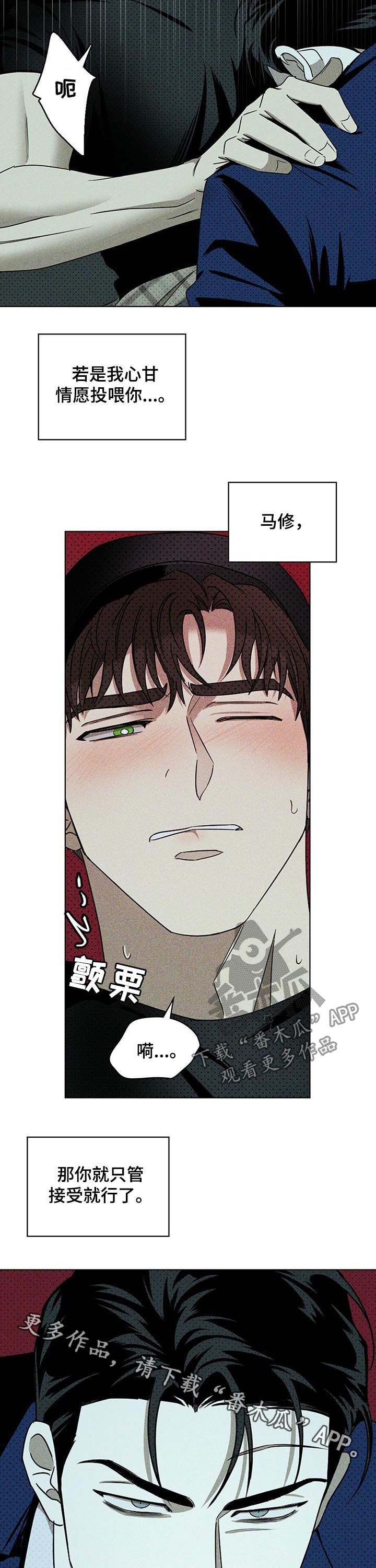 绿色纹理感衬衫大码漫画,第37章：冷静点2图