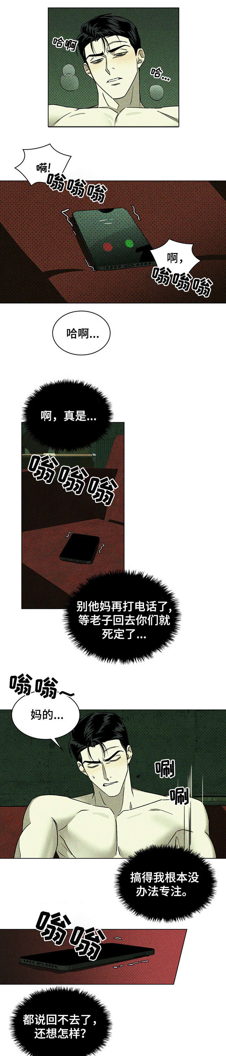 绿色纹理漫画在线41话漫画,第12章：电话2图