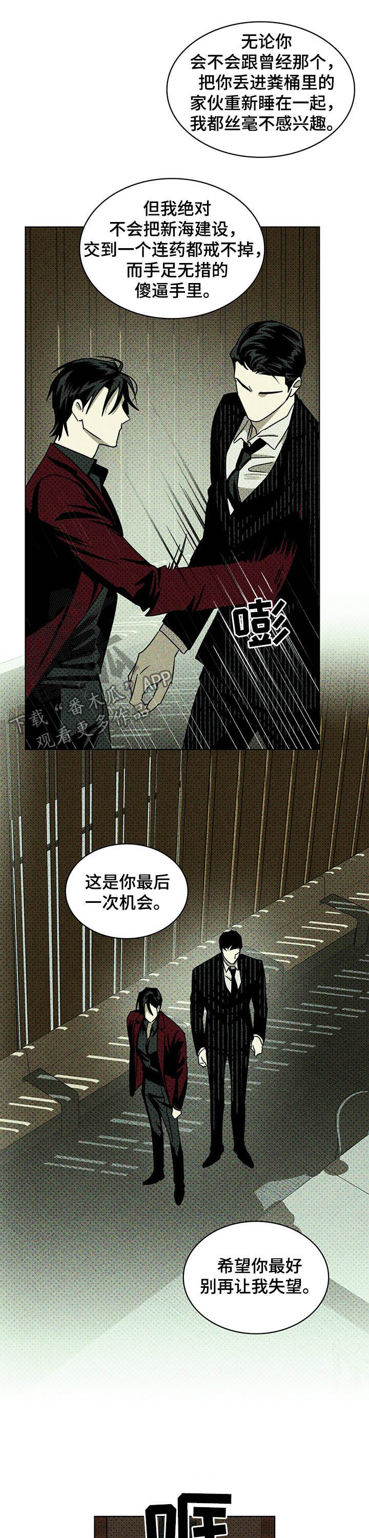 绿色纹理感衬衫大码漫画,第47章：高层会议2图