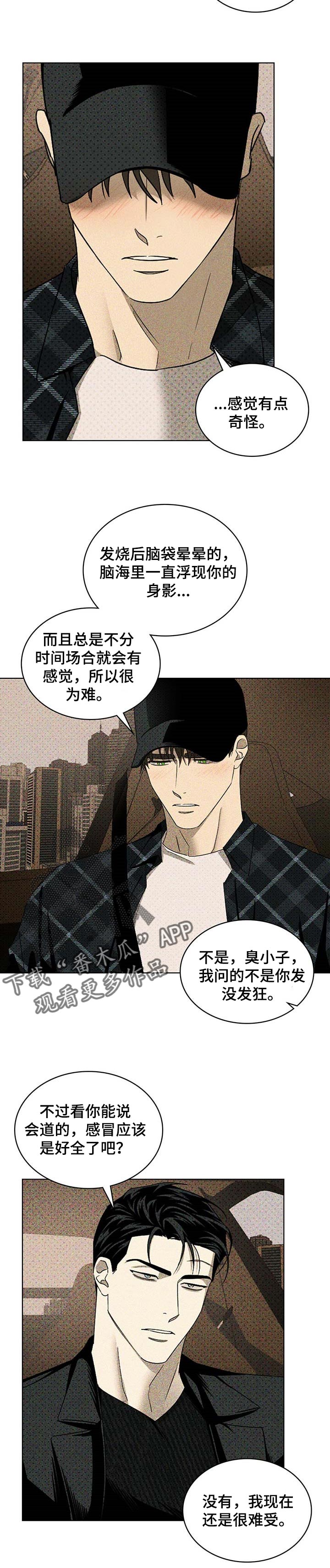 绿色纹理漫画全集完整版漫画,第54章：麻烦2图