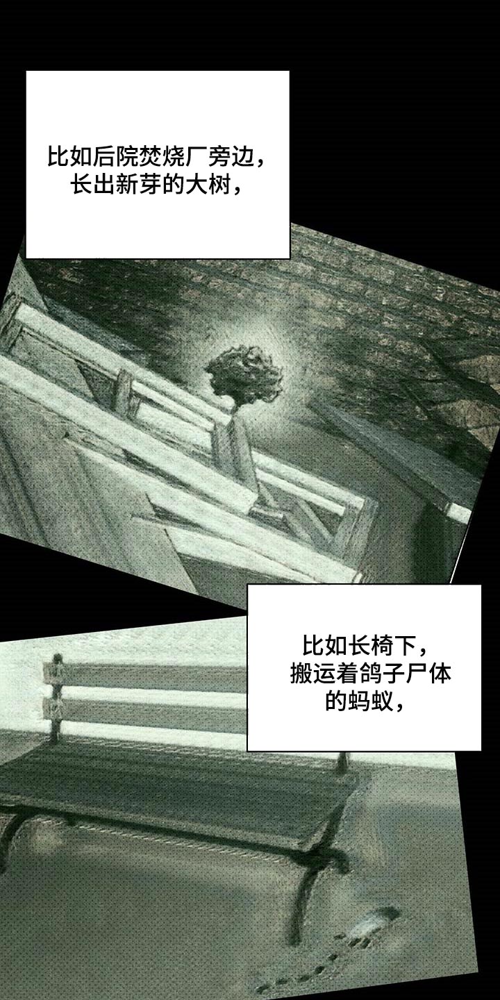 绿色纹理的作者是谁漫画,第74章：不质疑不后悔2图