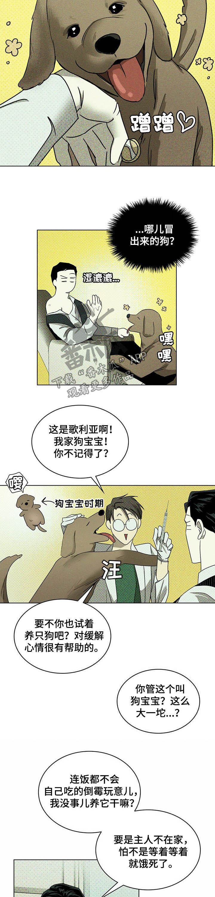 绿色纹理感衬衫大码漫画,第48章：治疗1图