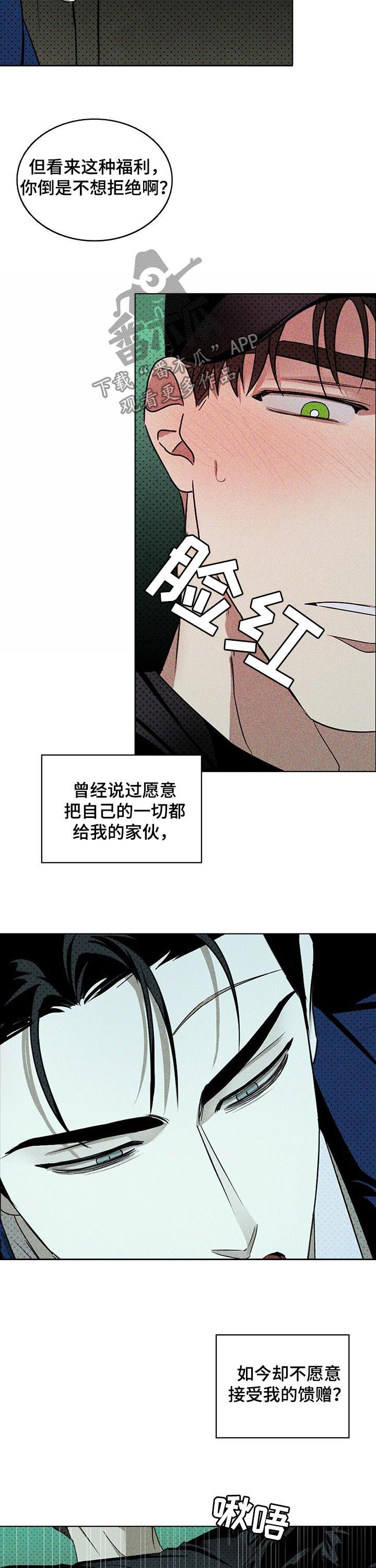 绿色纹理感衬衫大码漫画,第37章：冷静点1图