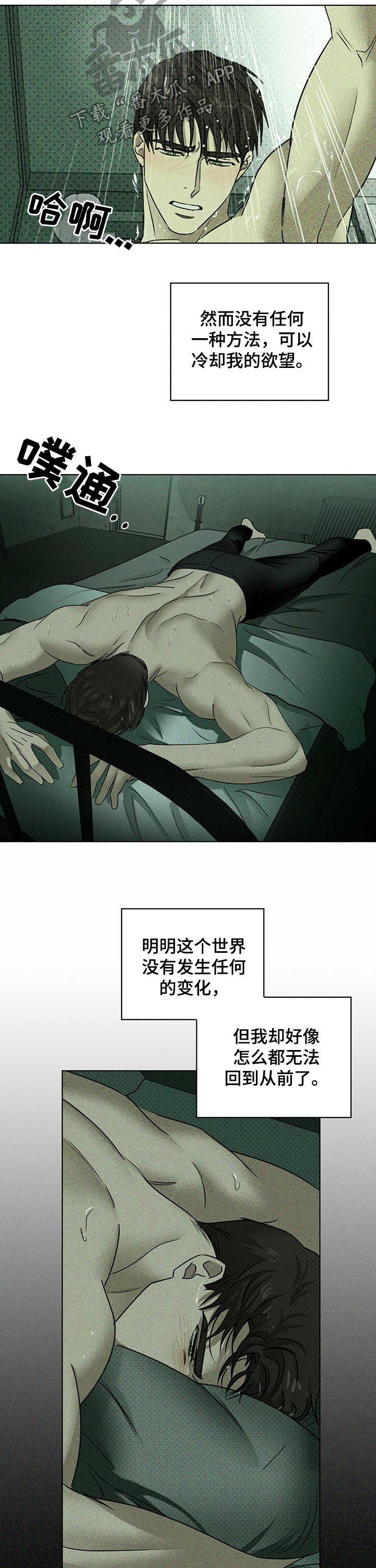 绿色纹理漫画最新漫画,第45章：辗转难眠1图