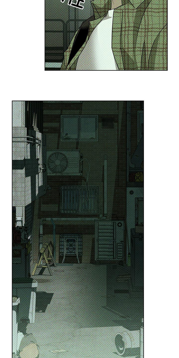 绿色纹理感衬衫大码漫画,第68章：你什么都知道2图