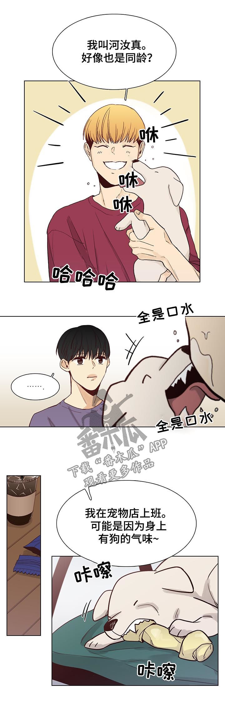 狐疑漫画,第95章：后记：和平切幸福2图