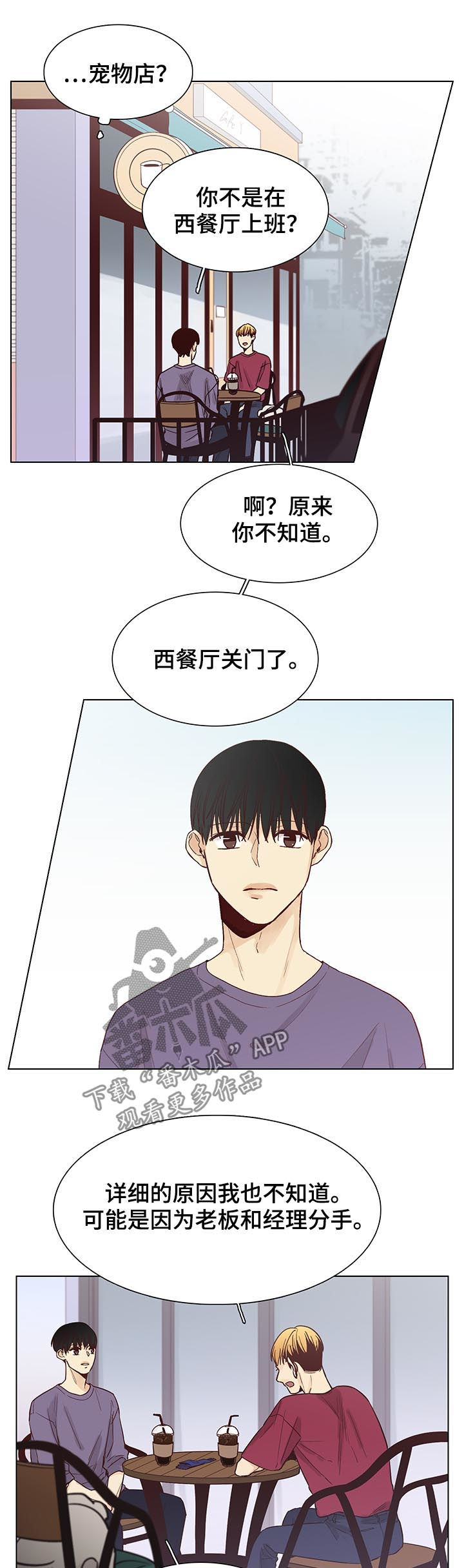 狐疑漫画,第95章：后记：和平切幸福1图