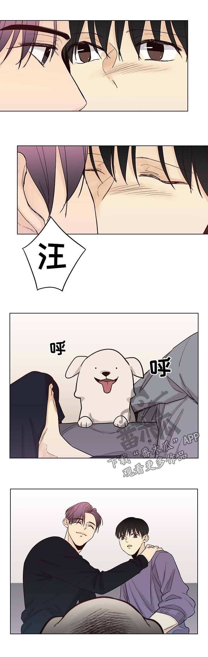 狐疑漫画,第97章：后记：出身之谜1图