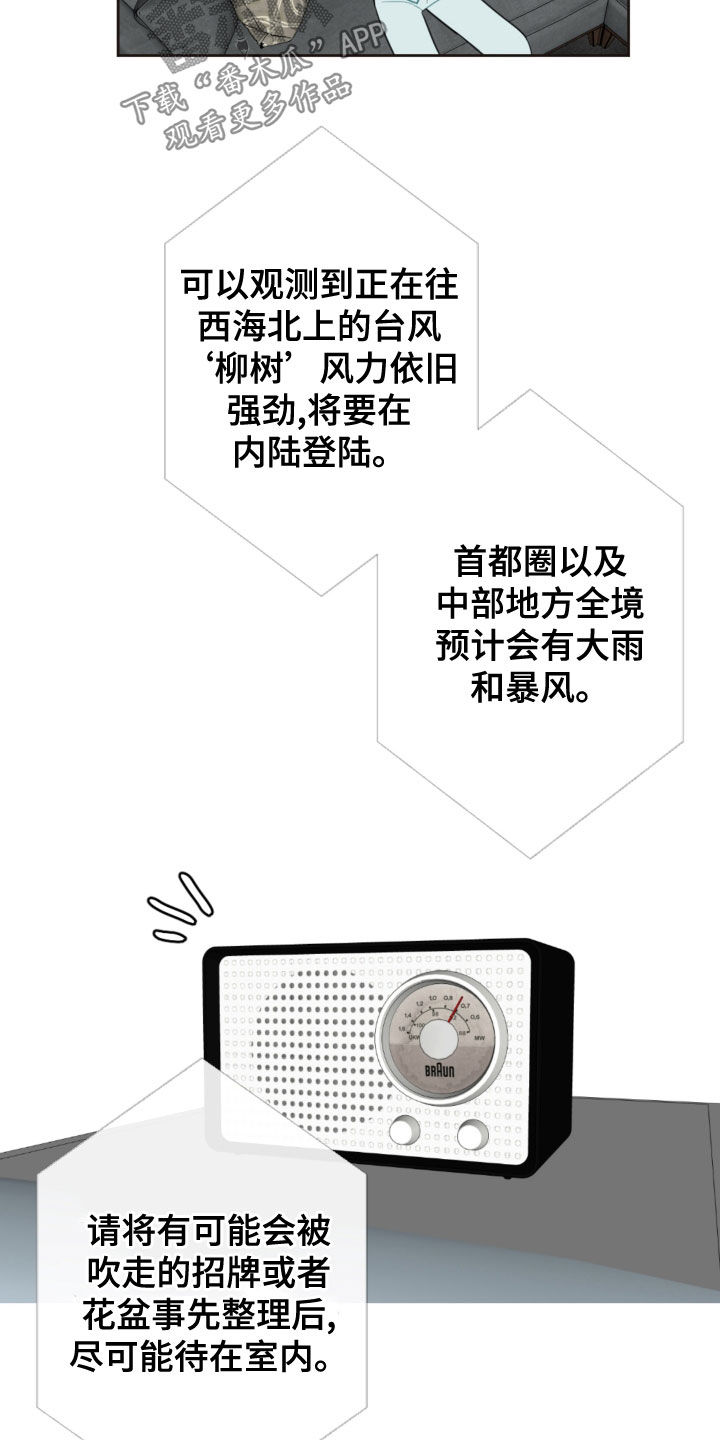 恋爱攻势是什么意思漫画,第116章：台风2图