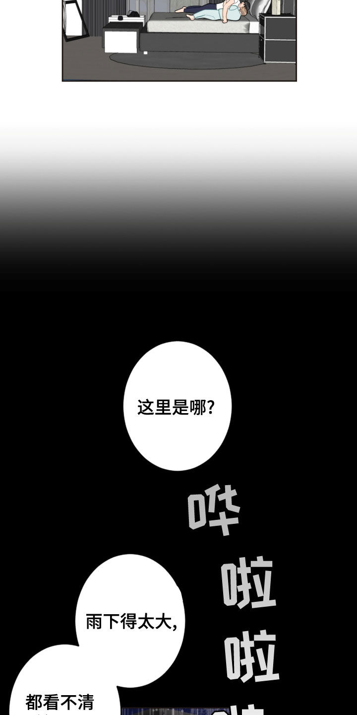 恋爱攻心术电子书txt漫画,第117章：救助狗狗2图