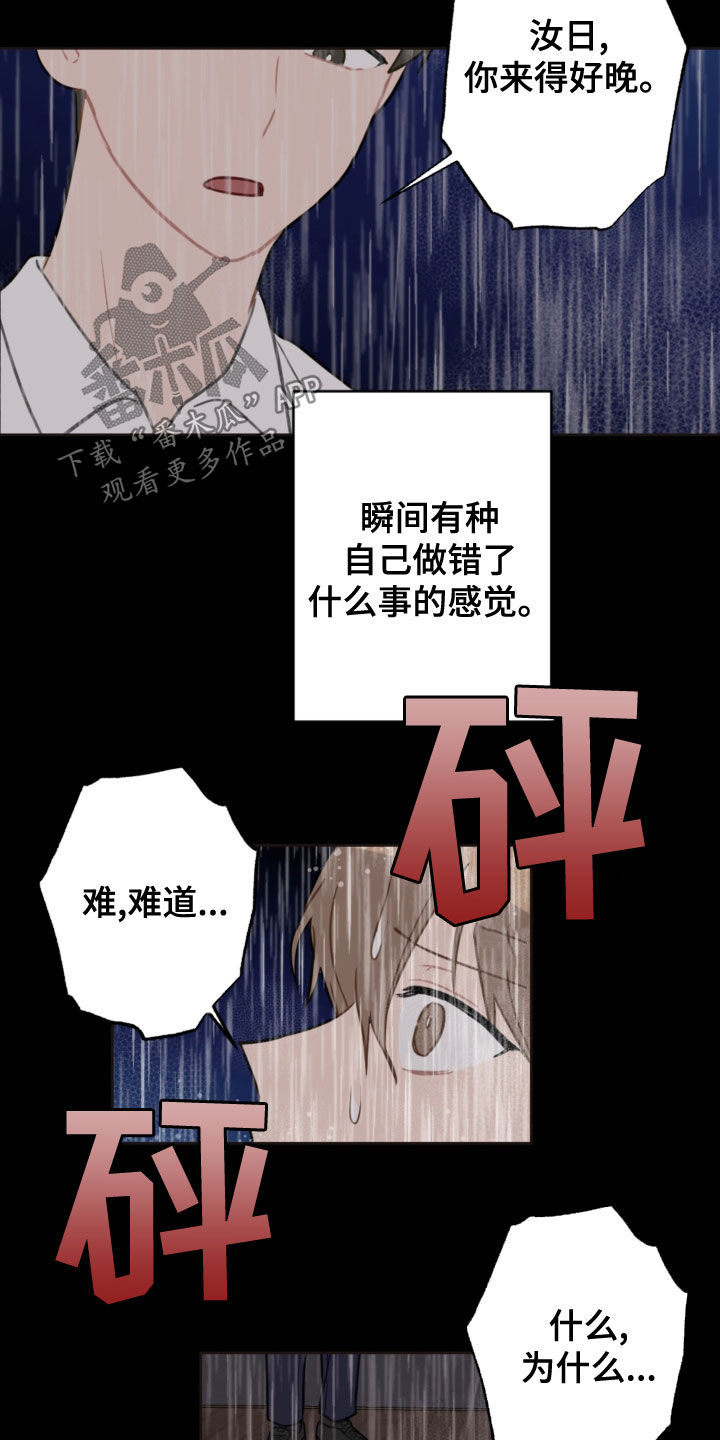 恋爱攻心术书免费阅读全文漫画,第117章：救助狗狗1图