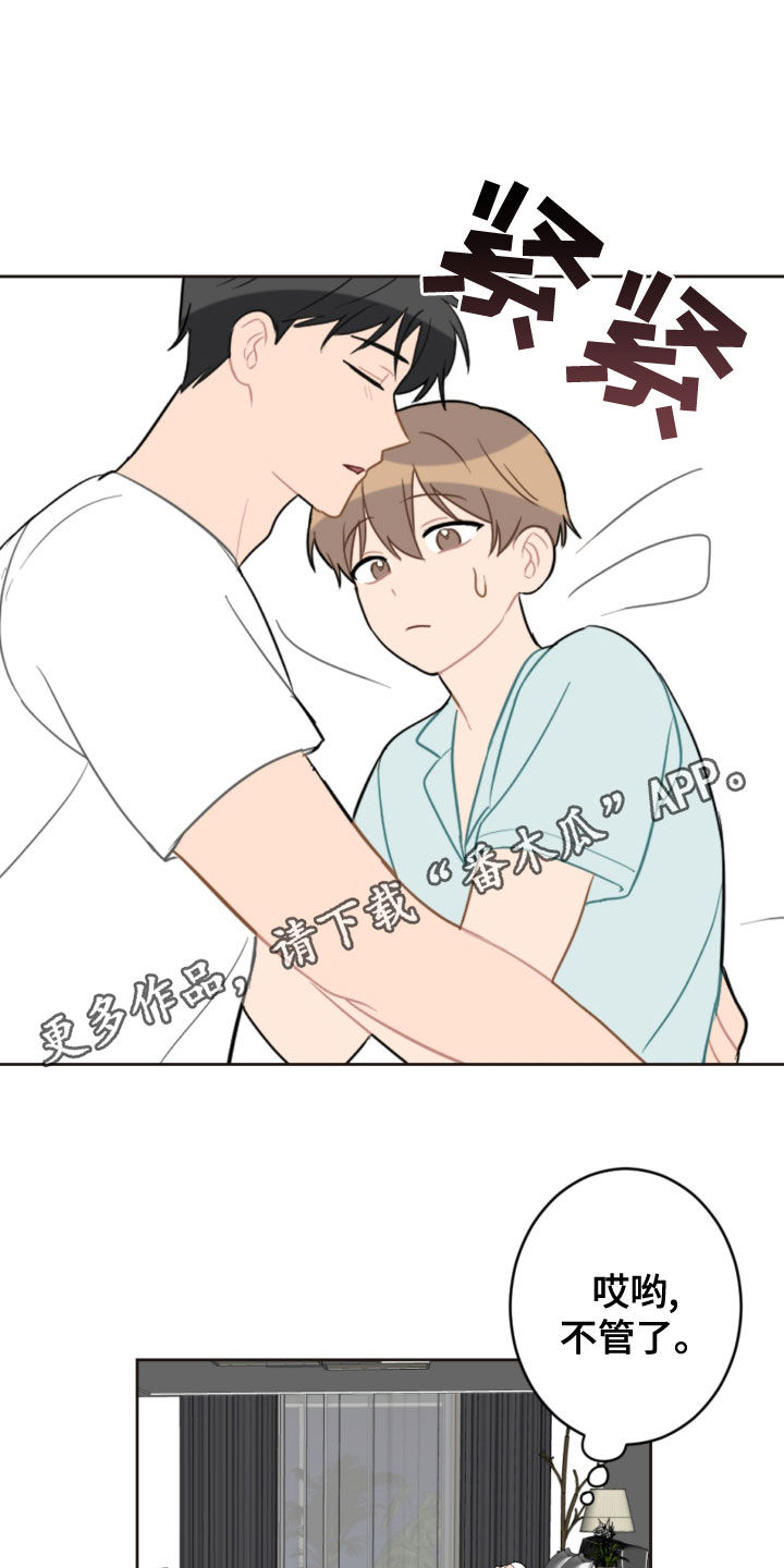 恋爱攻心术电子书txt漫画,第117章：救助狗狗1图