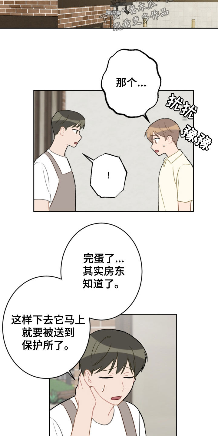 恋爱攻略流程图漫画,第113章：终极武器1图