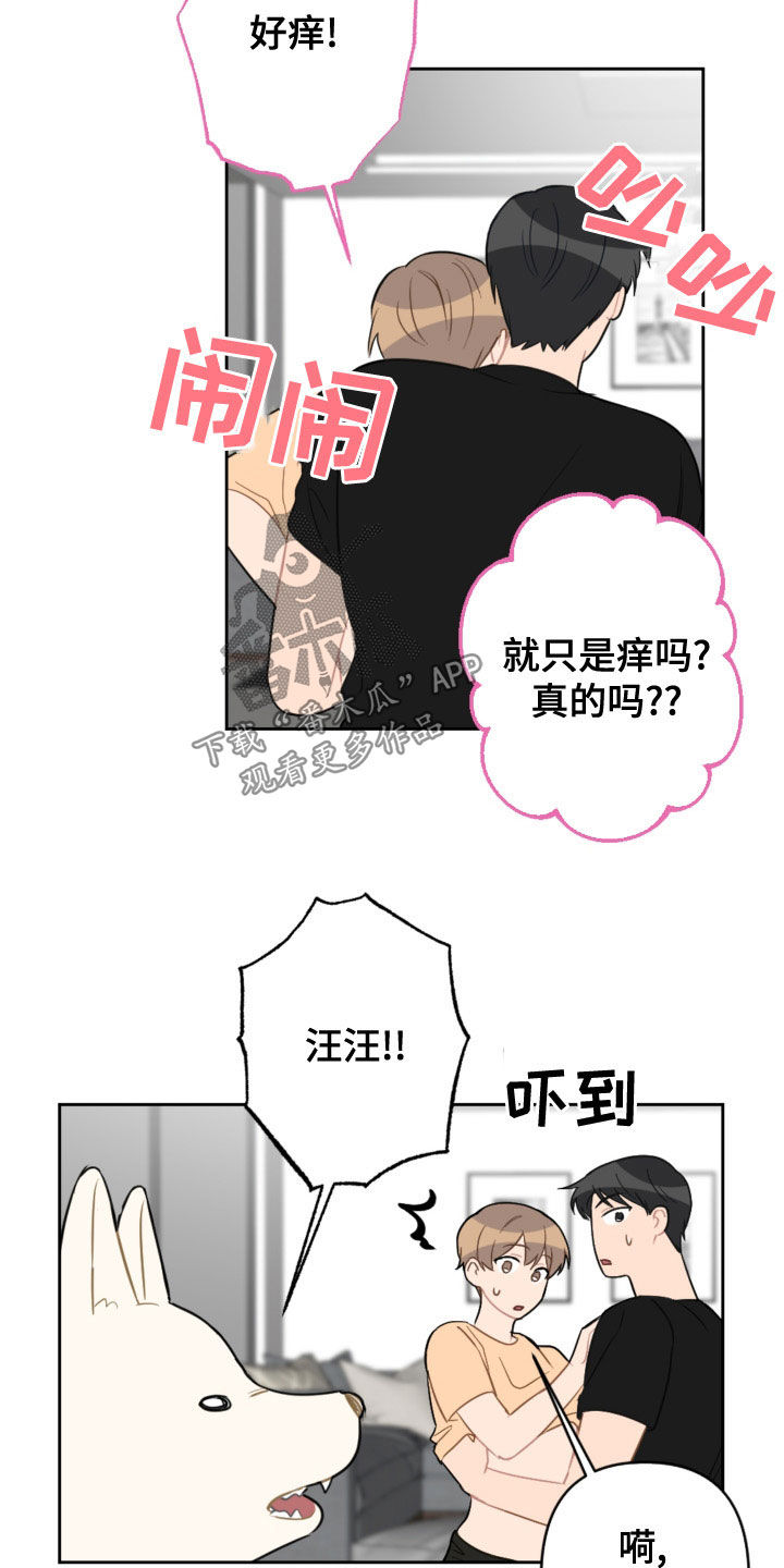 恋爱攻心术书在线阅读漫画,第120章：护主2图