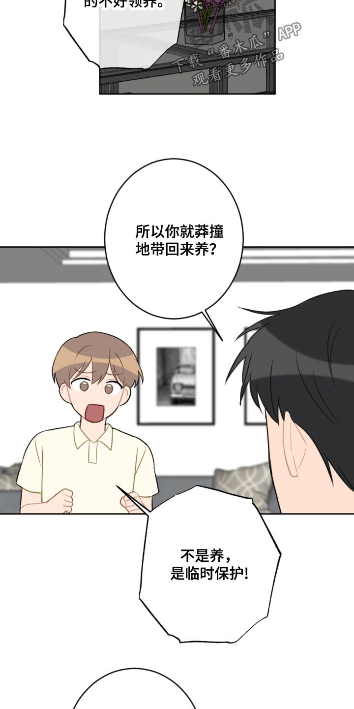 恋爱攻略单机游戏漫画,第114章：忘记的约定2图