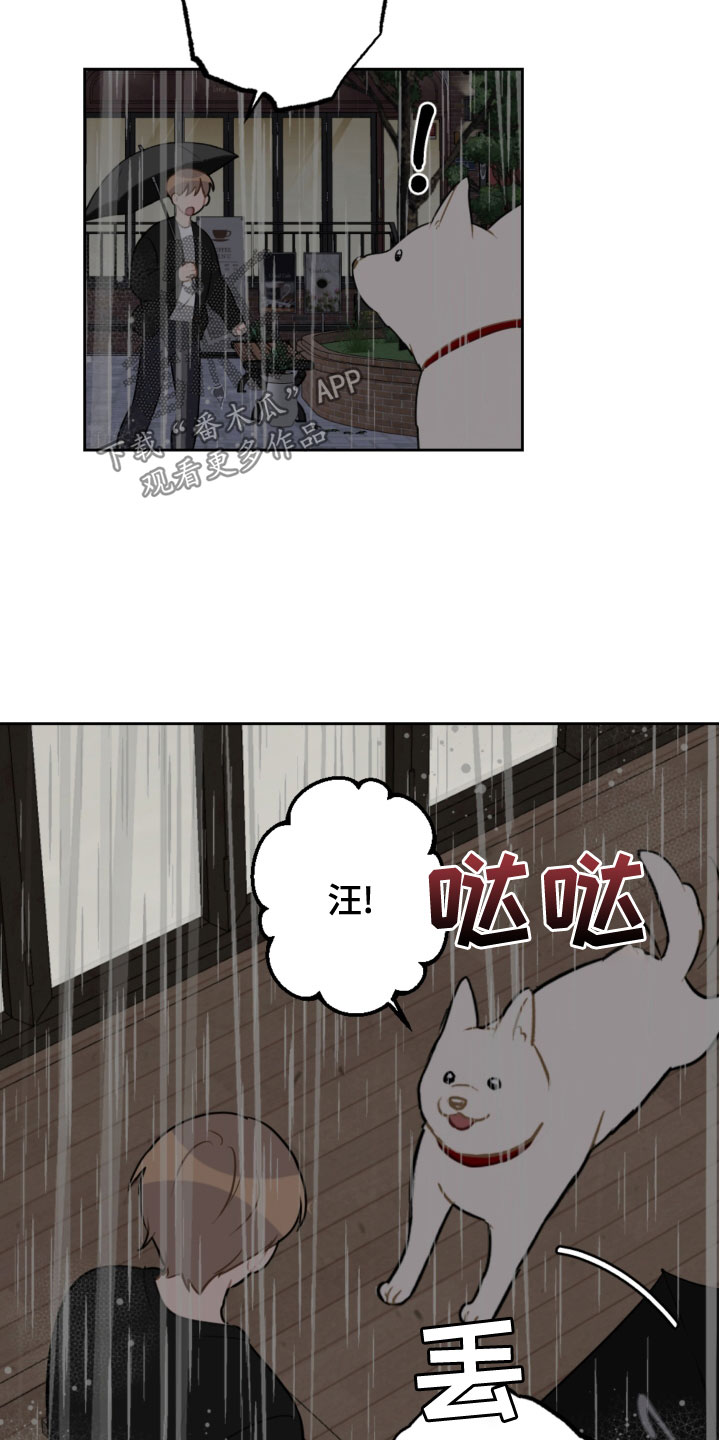 恋爱攻略流程图漫画,第118章：开车2图