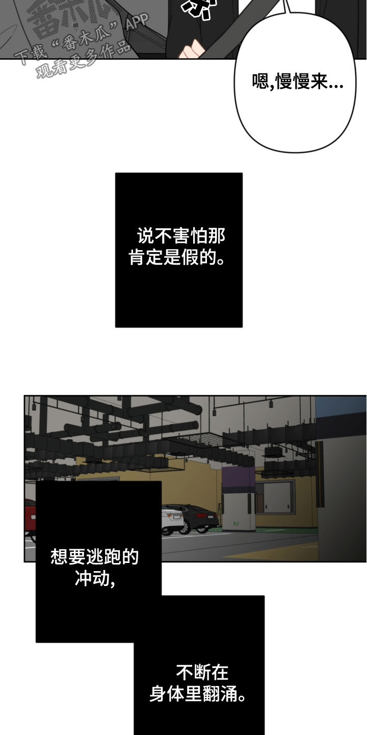 恋爱攻略流程图漫画,第118章：开车1图