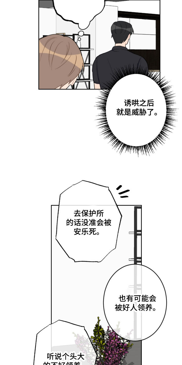 恋爱攻略游戏女生篇漫画,第114章：忘记的约定1图