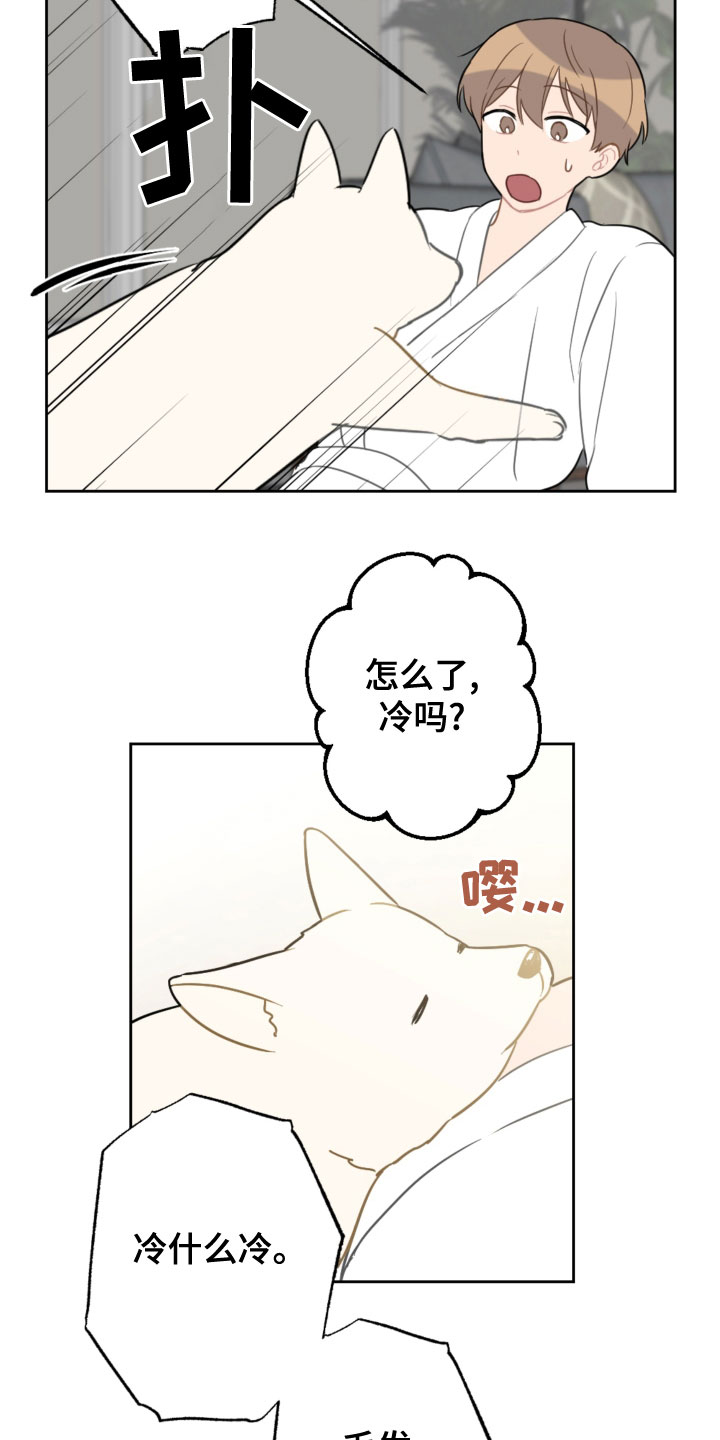 恋爱攻势歌漫画,第119章：同眠2图