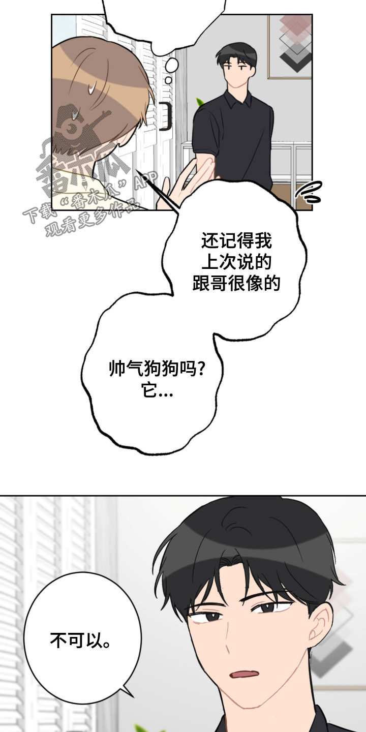 有钱人的恋爱攻势漫画,第113章：终极武器1图