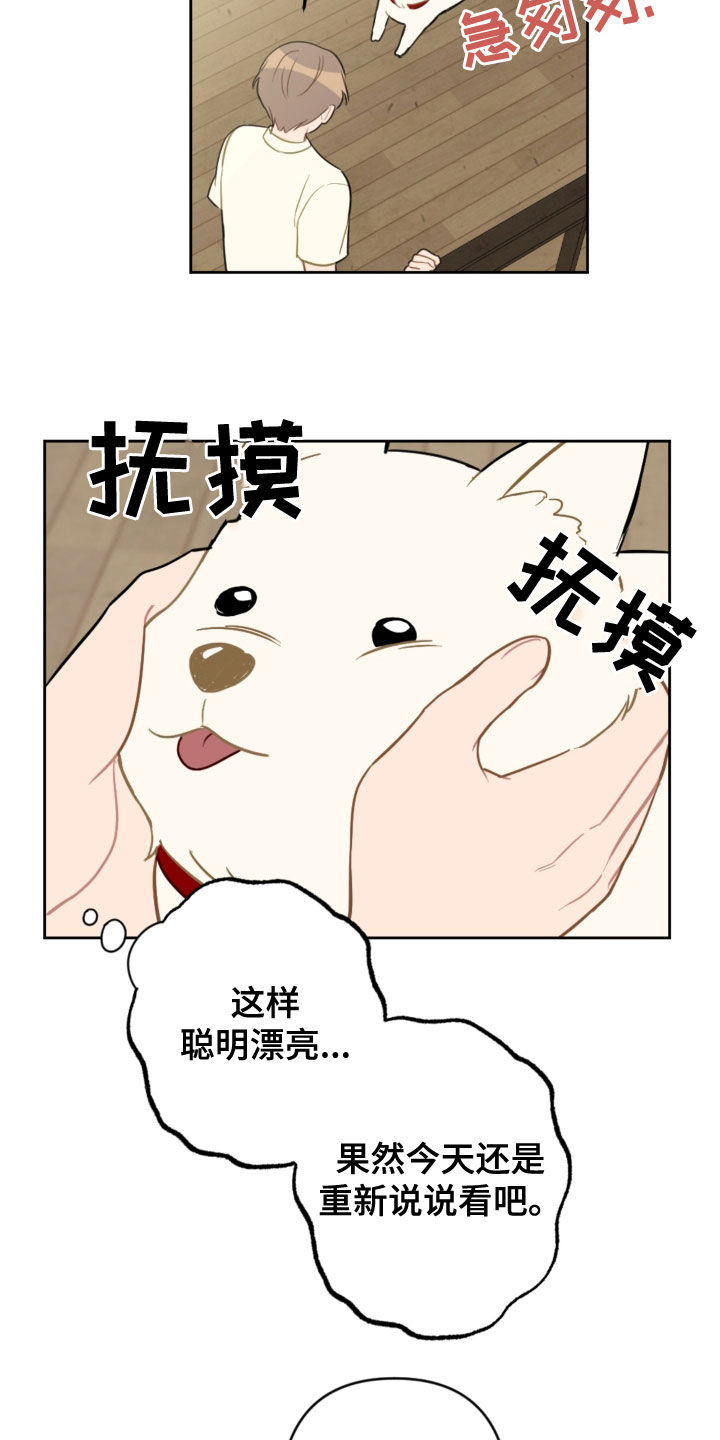 恋爱攻势漫画免费在线观看漫画,第113章：终极武器1图