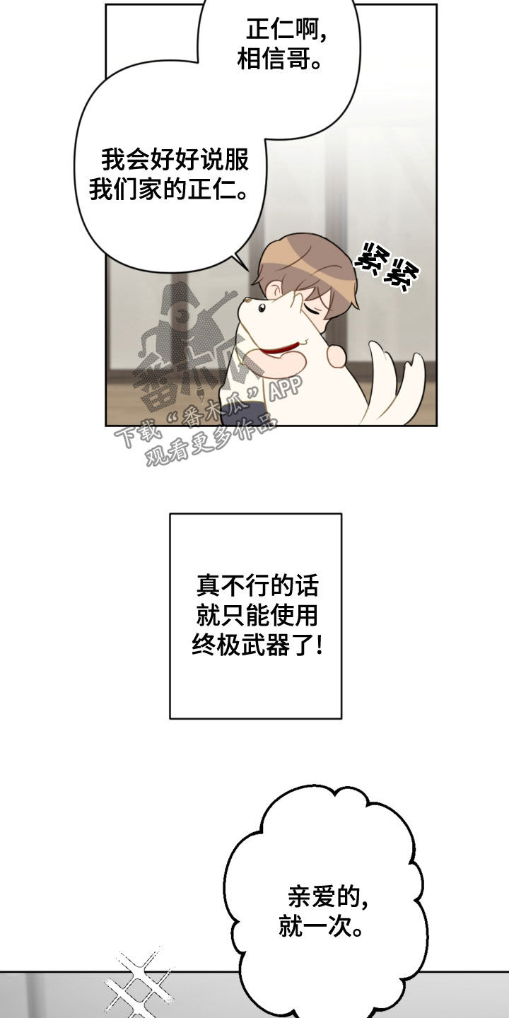 恋爱攻势漫画免费在线观看漫画,第113章：终极武器2图