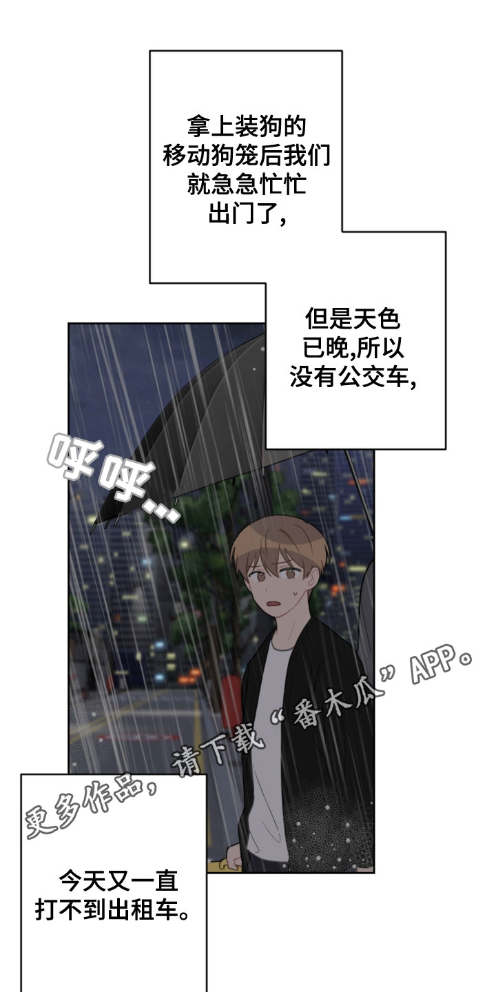 恋爱攻势漫画,第118章：开车1图