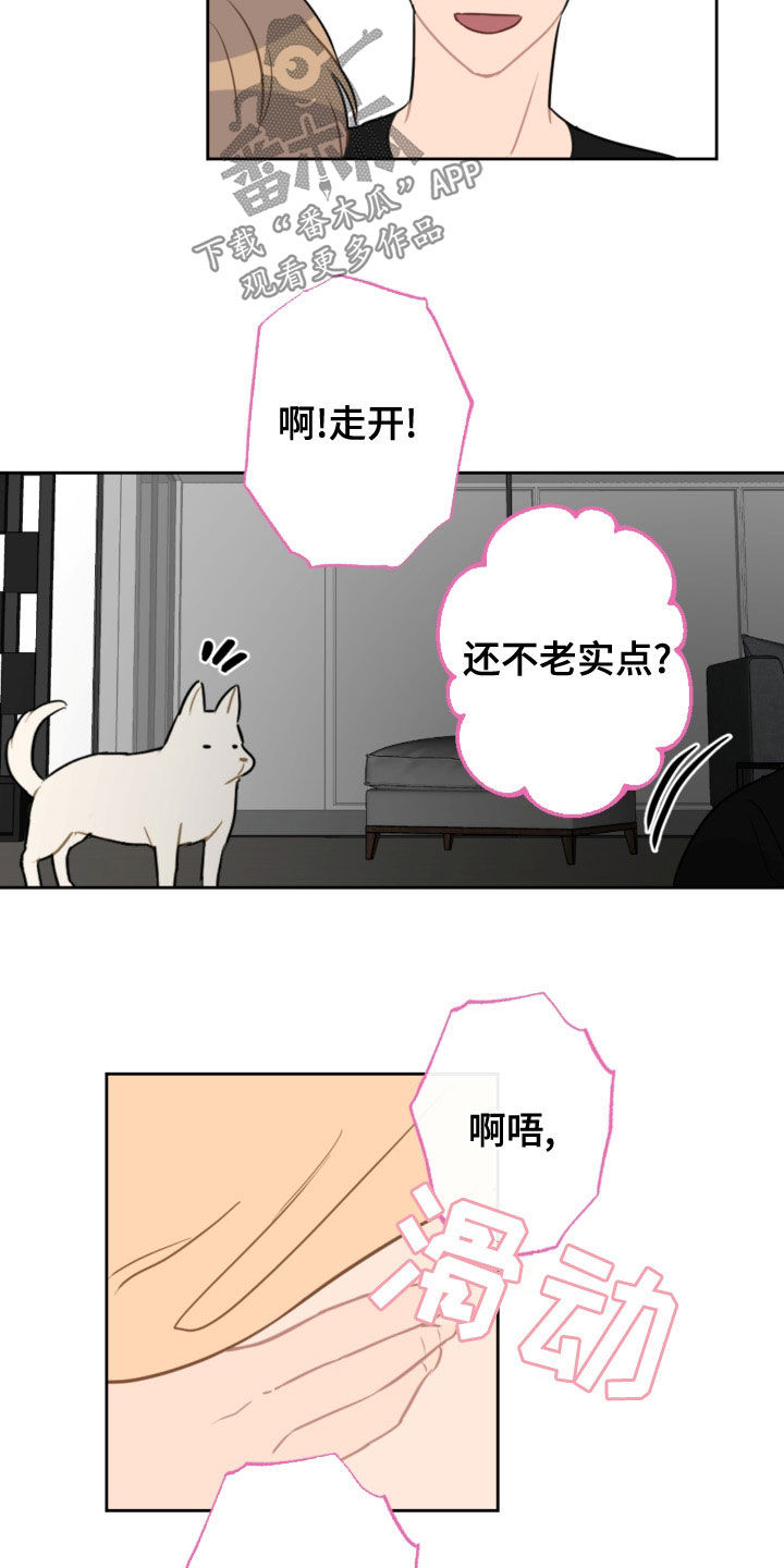 恋爱攻心术书在线阅读漫画,第120章：护主1图