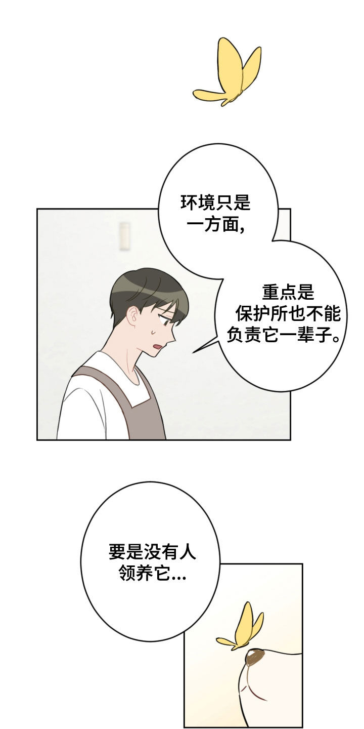 恋爱攻略流程图漫画,第113章：终极武器1图