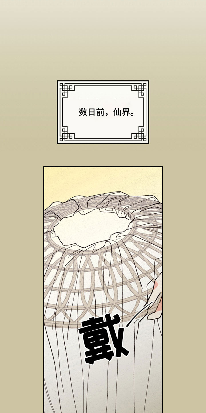 桃源大将军漫画,第51章：【第二季】重要的事2图