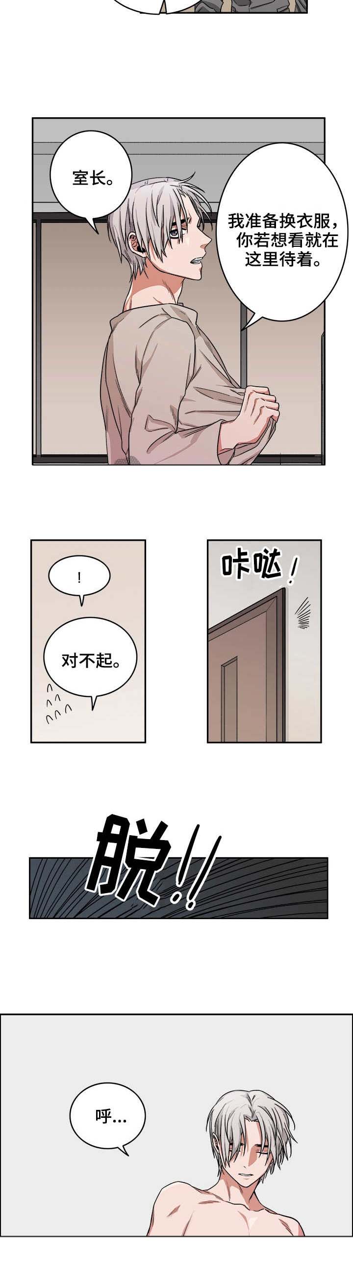 厄运转移小说漫画,第12章：毒蛇1图