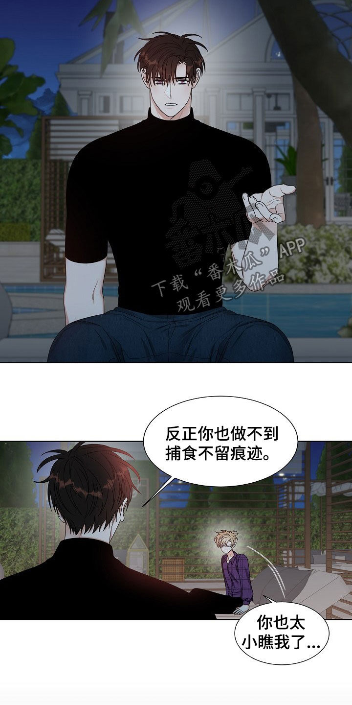 傲娇小恶魔漫画用什么看漫画,第17章：捕食2图