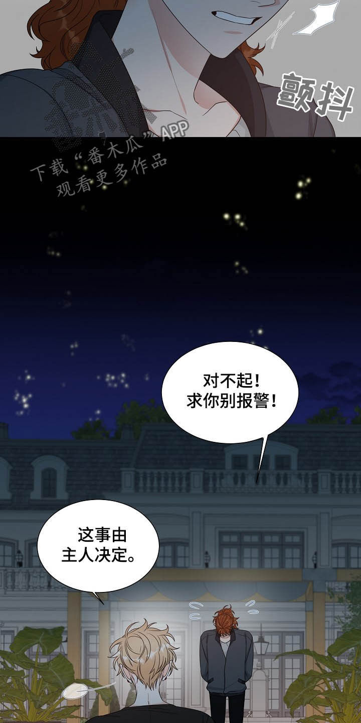 傲娇小亲亲漫画,第15章：找相机2图