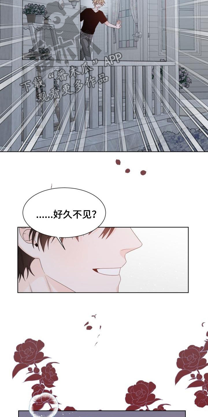 傲娇小恶魔的动漫漫画,第62章：让我吻你（完结）1图