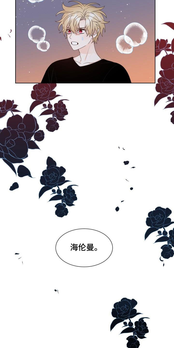 傲娇小恶魔的动漫漫画,第62章：让我吻你（完结）2图