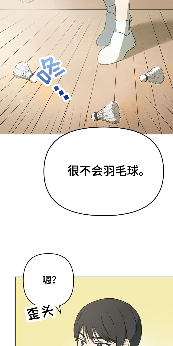 脑海中的浪漫漫画,第18章：不会羽毛球1图