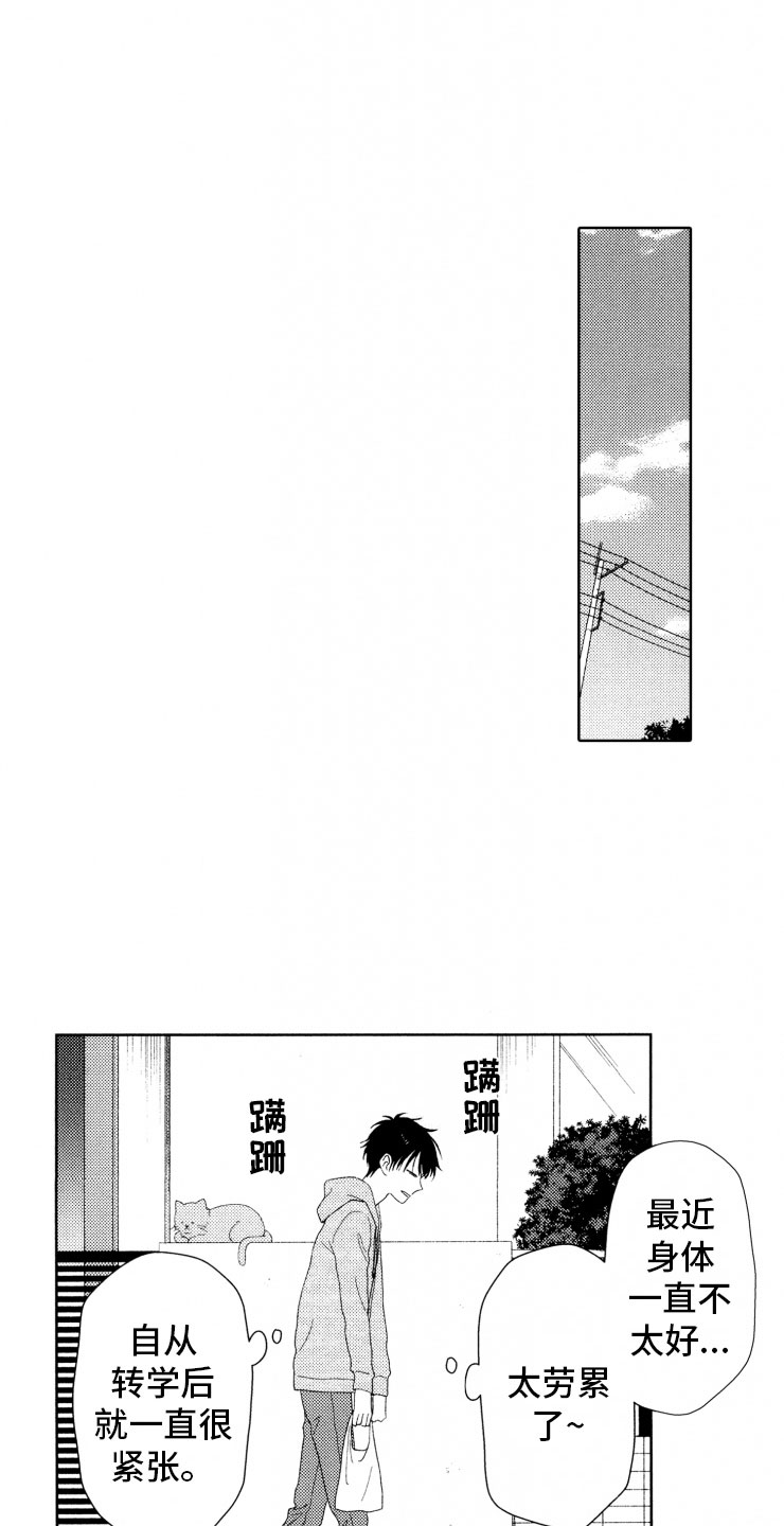 小八步舞蹈视频漫画,第8章：上树1图