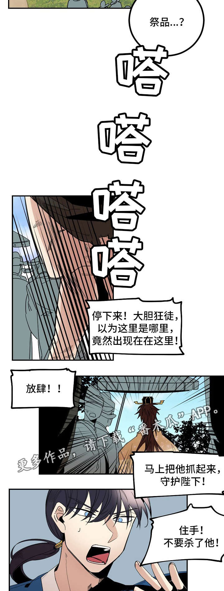 前生今世来世与你相遇在每一个梦里漫画,第25章：祭品2图