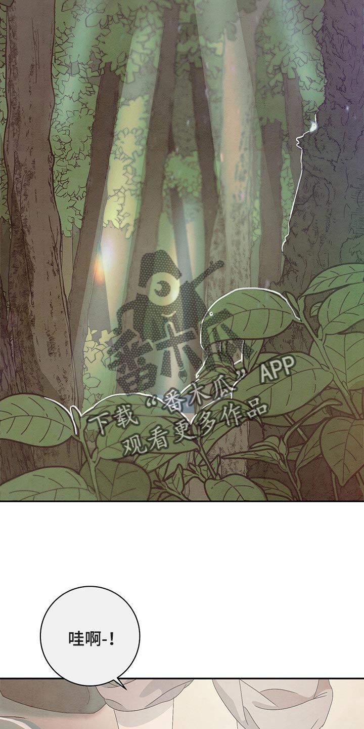 染成栗棕色的头发还能染黑茶色吗漫画,第34章：害羞2图