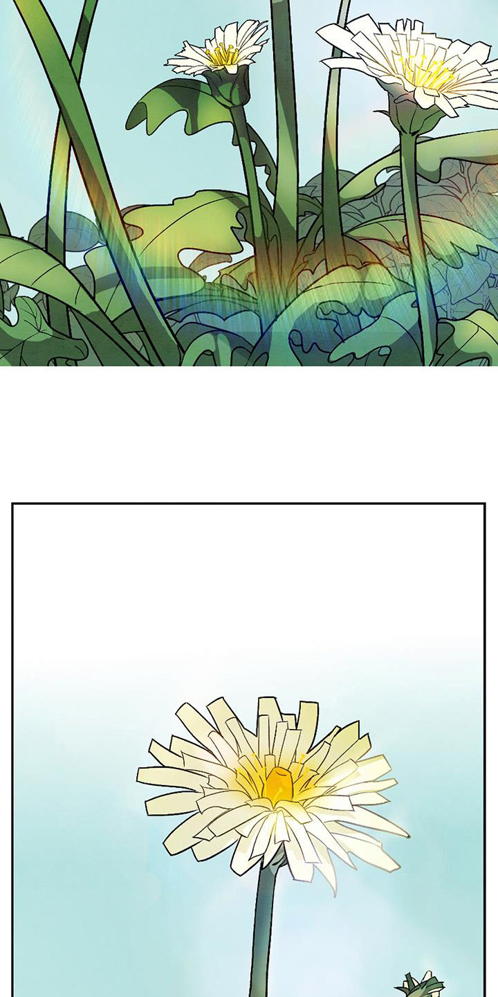 染成栗棕色的头发还能染黑茶色吗漫画,第1章：戏班2图