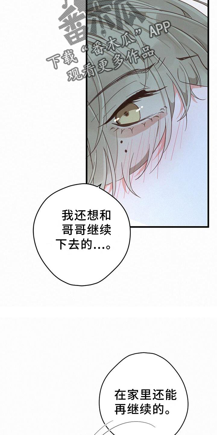 虚实交替漫画免费观看漫画,第64章：打扰1图