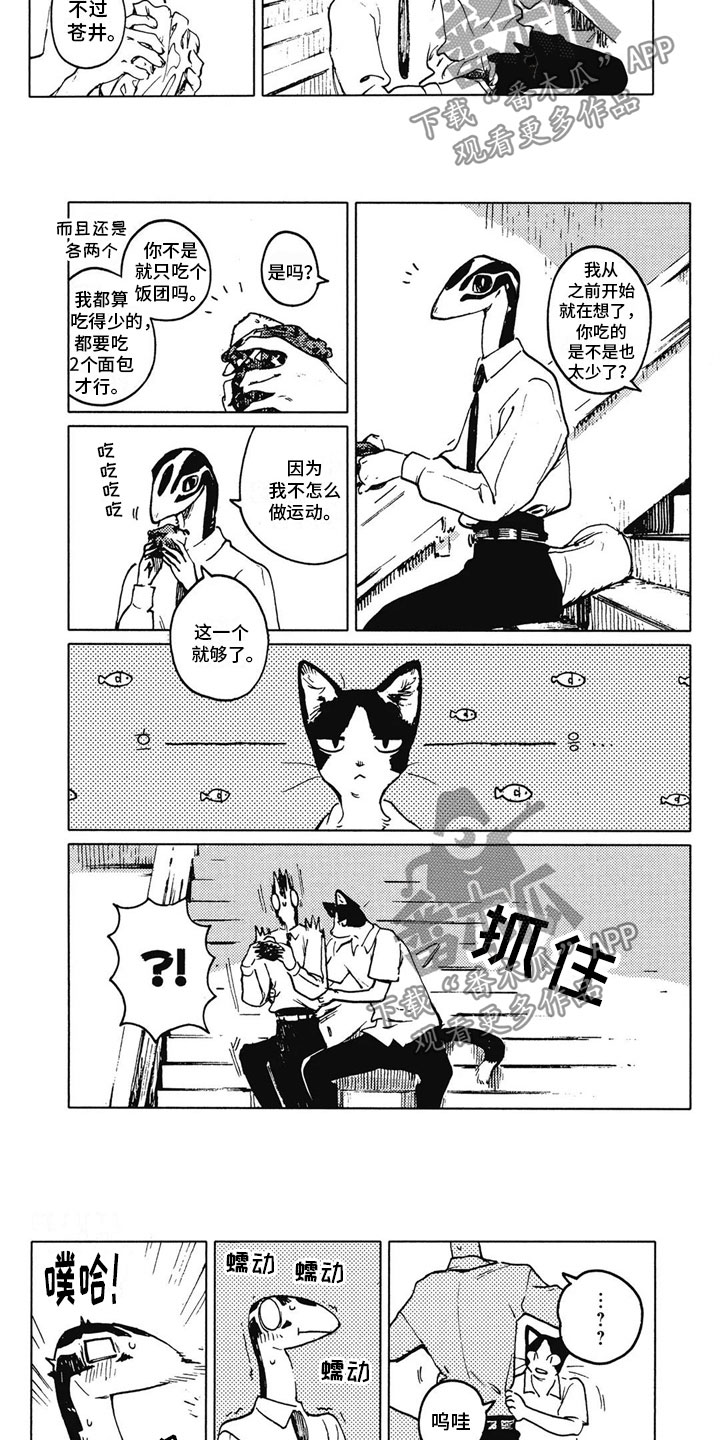 单调有界漫画,第10章：不讨厌1图