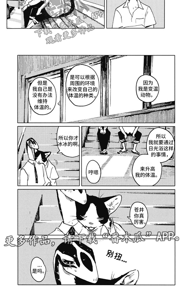 蓝猫太可爱了漫画,第8章：变温2图