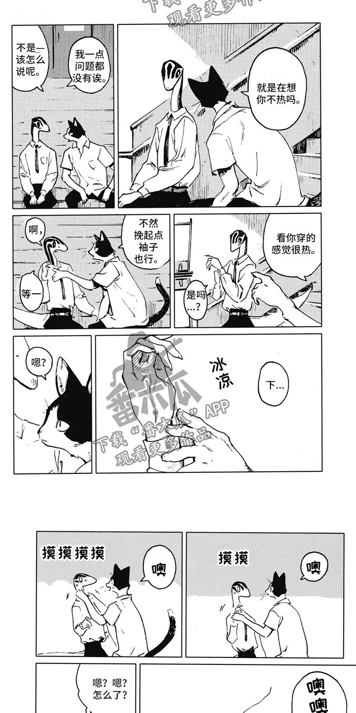 蓝猫男猫好听的名字大全漫画,第8章：变温2图