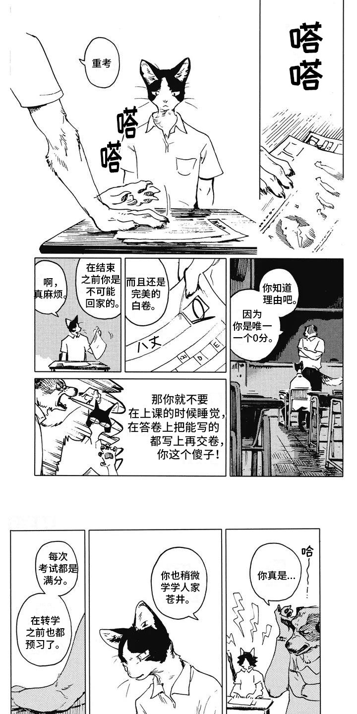 单调区间怎么求漫画,第2章：他的尾巴1图