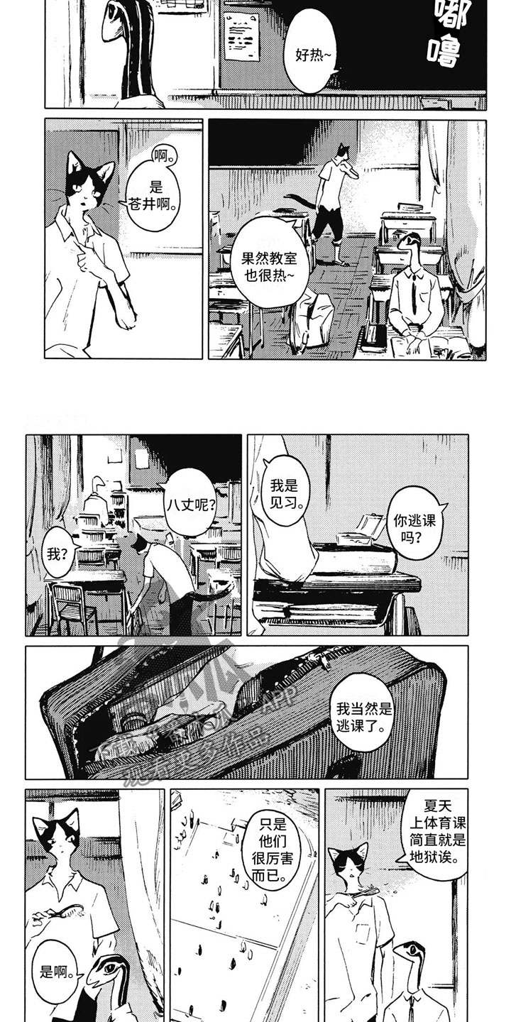 单调男生发色漫画,第7章：邀请2图