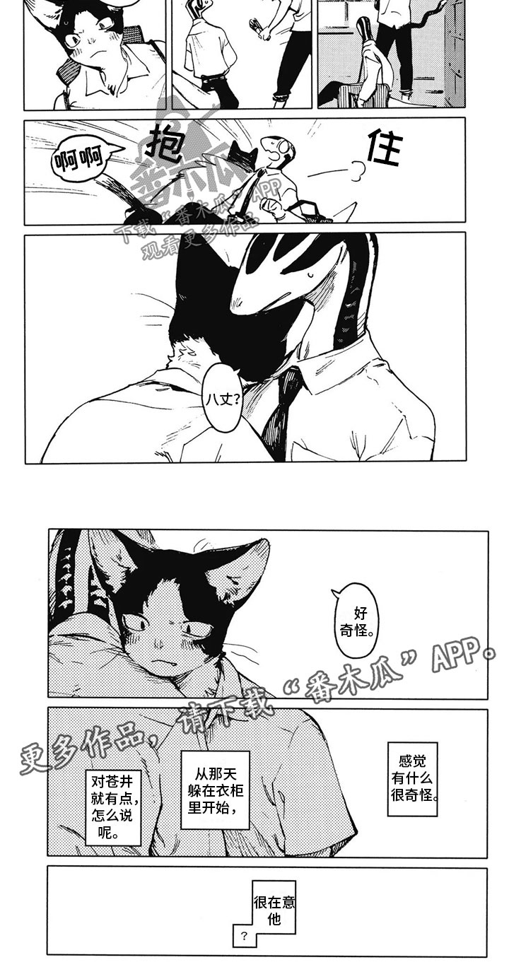 单调蓝猫男pema漫画,第17章：很在意2图