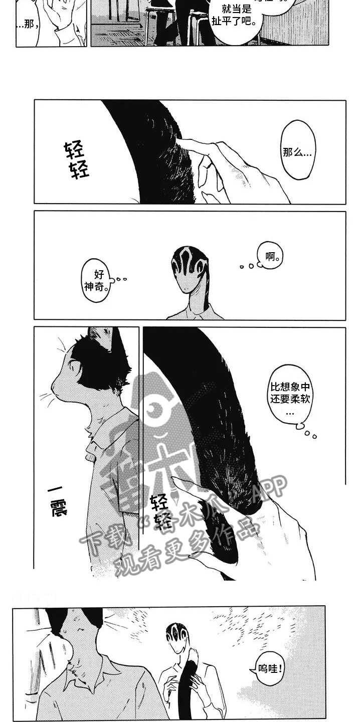 蓝猫男的好还是女的好漫画,第6章：交换名字2图