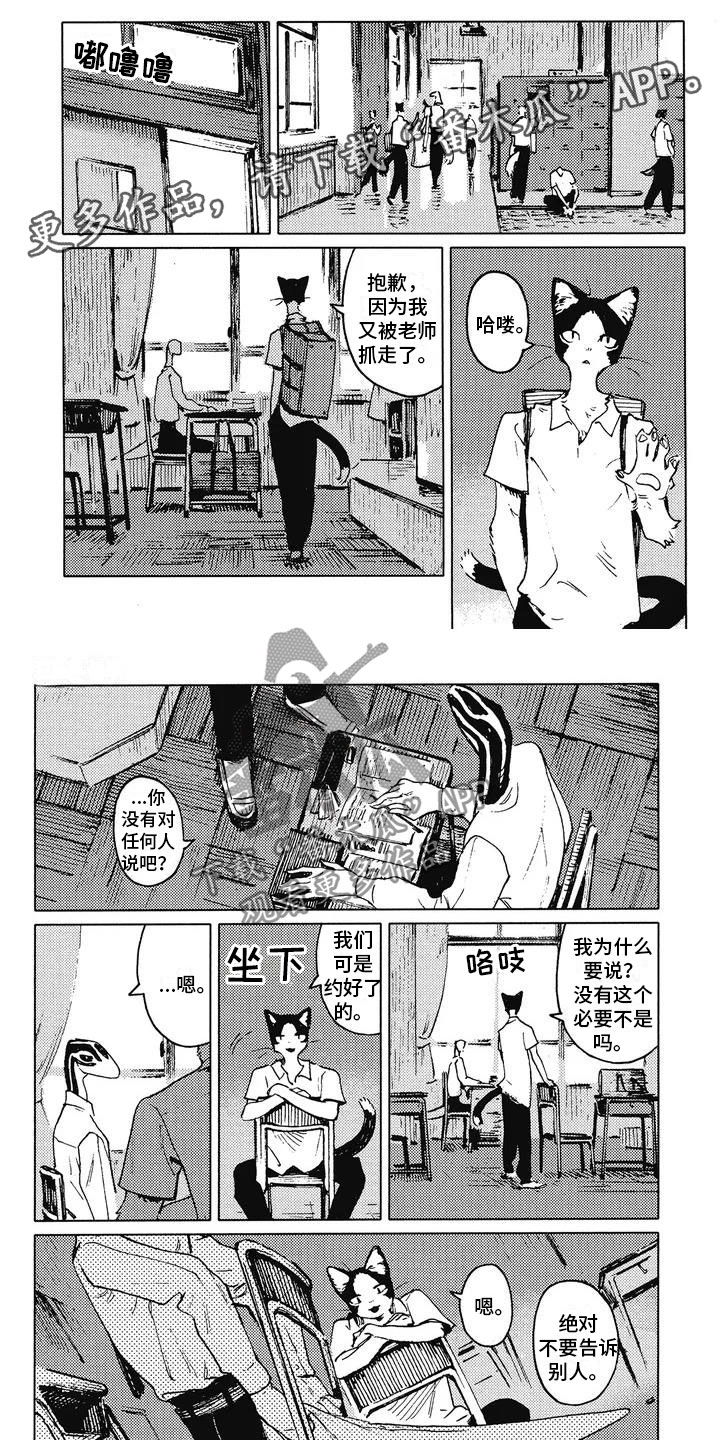 蓝猫男猫咪高贵洋气的名字漫画,第5章：摸尾巴1图