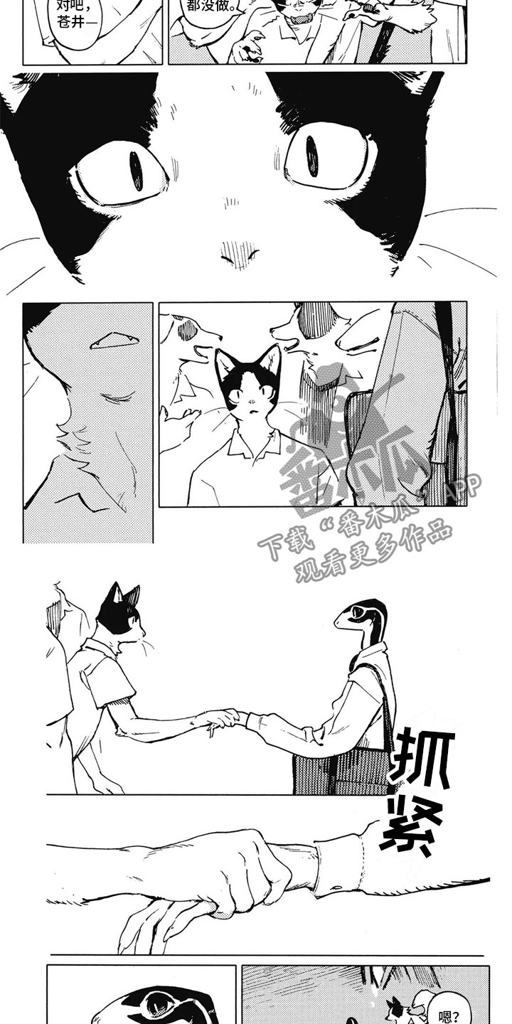 蓝猫太可爱了漫画,第14章：好奇2图